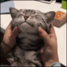 fufunoir